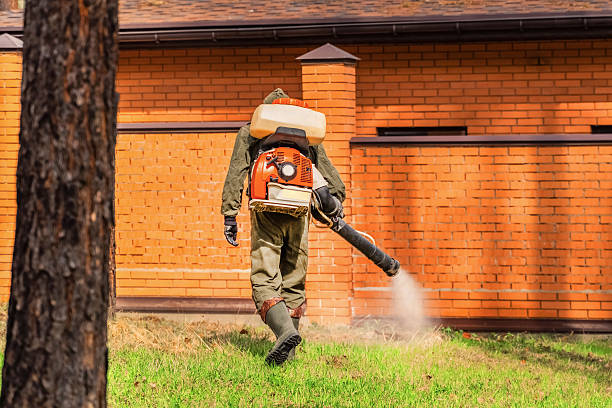 Bed Bug Clearance Verification and Documentation in Stacy